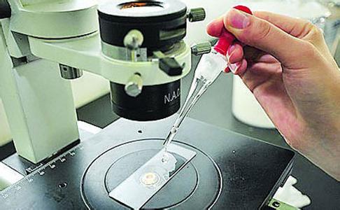 二維色譜、基因測(cè)序儀等儀器項(xiàng)目獲豫科技發(fā)展專項(xiàng)資金支持